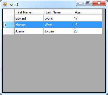 DataGridView-in-C#-13
