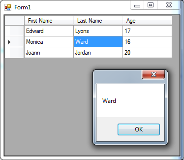 DataGridView-in-C#-14