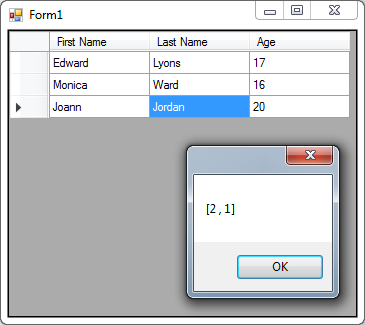 DataGridView-in-C#-16