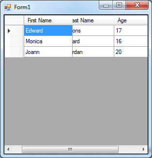 DataGridView-in-C#-17