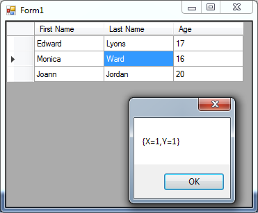 DataGridView-in-C#-18