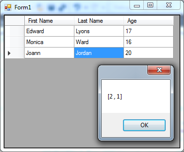 DataGridView-in-C#-19