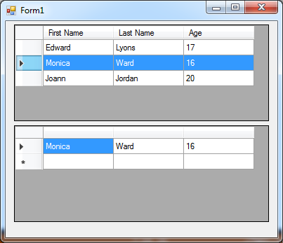 DataGridView-in-C#-21
