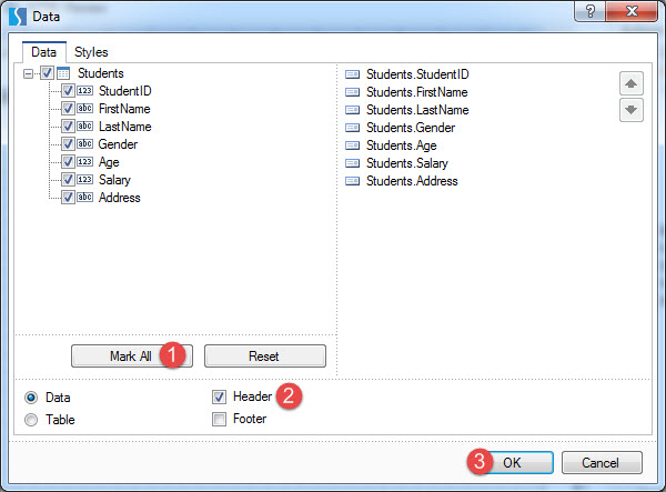 report-design-in-stimul-soft-04