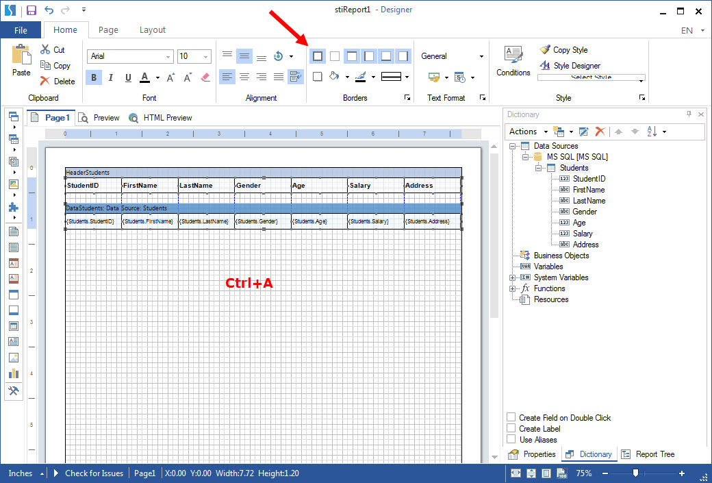 report-design-in-stimul-soft-07